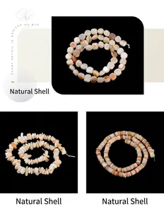 Detailed display of mixed natural shell loose beads for jewelry making