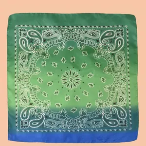 Detailansicht des grün verlaufenden Paisley-Musters auf Seidenquadrat