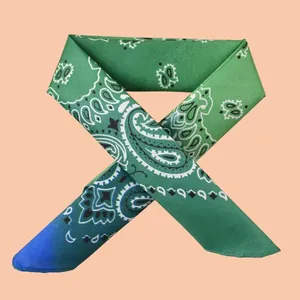 Detailansicht eines grün verlaufenden Seiden-Bandanas mit eleganten Paisley-Mustern.