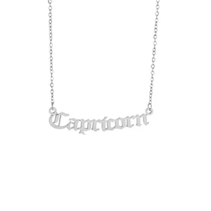 Close-up detail of a silver stainless steel Capricorn zodiac nameplate pendant necklace