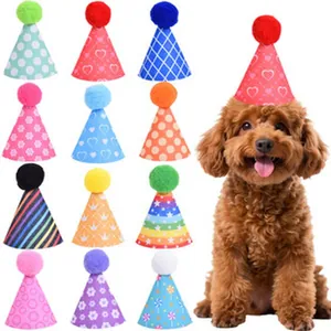 Assorted colorful pet birthday hats featuring various patterns and a poodle dog model