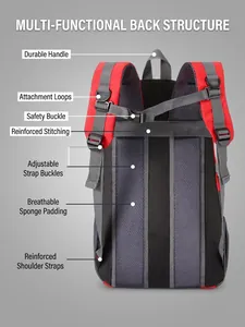 Detailed view of hiking backpack back panel with breathable padding and safety buckles
