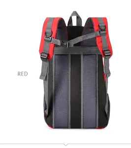 Back view of red and grey outdoor hiking backpack with padded breathable straps