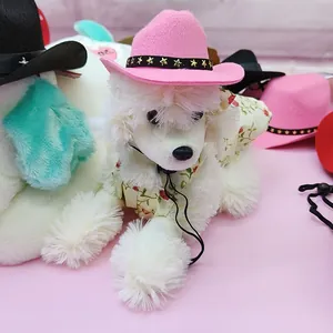 Nahaufnahme eines rosa Cowboyhuts für Haustiere mit Goldsternen auf einem kleinen Hund