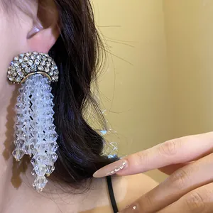Close-up of elegant crystal tassel earrings with sparkling rhinestones on model's ear