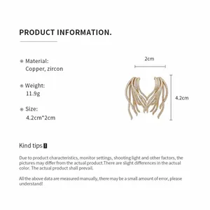 Detailed product specifications for gold-plated zircon earrings including weight and size