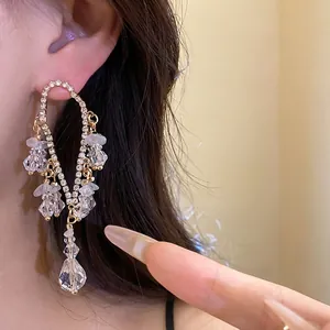 Eleganti orecchini pendenti in argento con strass scintillanti e perle di cristallo
