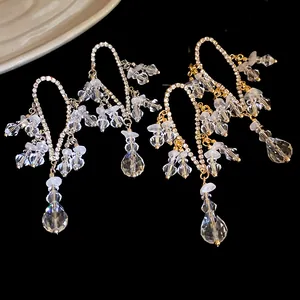 Vista dettagliata di orecchini pendenti con nappine in strass di cristallo argento e oro