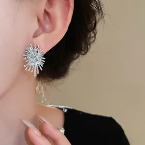 Silberne Sternen-Ohrringe mit funkelnden Kristallen für einen eleganten Luxus-Look