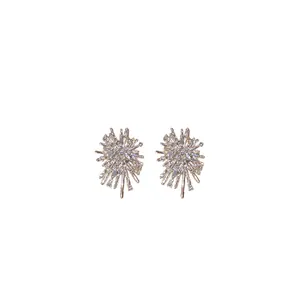 Elegante silberfarbene Sternen-Ohrstecker mit schimmernden floralen Kristallakzenten