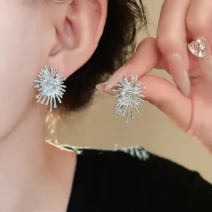 Detailansicht funkelnder silberner Sonnenstrahl-Ohrstecker mit feinem Diamantbesatz.