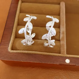 Nahaufnahme von eleganten silbernen Zweigohrringen mit matt gebürstetem Finish in einer Box