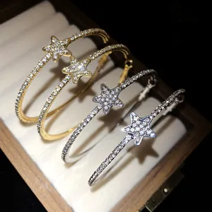 Primo piano di orecchini a cerchio con stelle e strass in finiture oro e argento in scatola