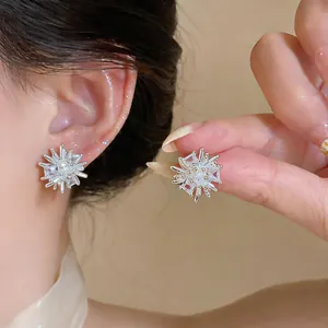 Dettaglio di orecchini a lobo in argento a forma di stella con brillanti zirconi.
