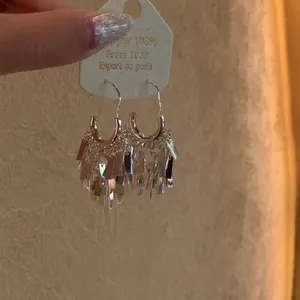 Close-up of silver tassel earrings with rectangular dangling fringes on a white card