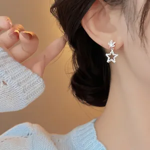 Vue détaillée des boucles d'oreilles étoiles en argent avec zircons étincelants