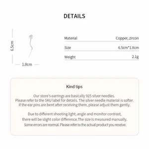 Detailed specifications of zircon tassel earrings including size, material and weight.