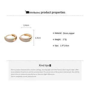 Gedetailleerde productspecificaties voor 14K vergulde pave zirkonia oorringen met maten