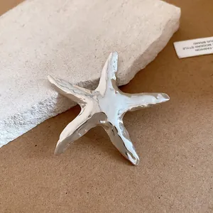 Detaillierte Makroansicht einer silbernen Seestern-Brosche mit glänzendem Metallic-Finish