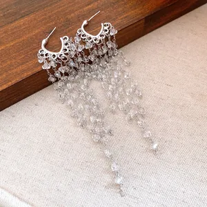 Detail of elegant silver earrings featuring long shimmering clear crystal tassels.