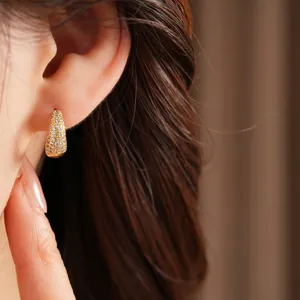 Detailed close-up of 14K gold plated hoop earring with sparkling pavé zircons on model ear