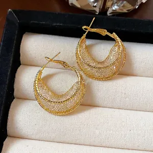 Elegant gold-plated mesh hoop earrings with S925 silver needles in a jewelry box
