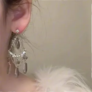 Elegant Bohemian style gray crystal water drop tassel dangle earrings worn by model
