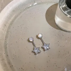 Elegant minimalist star-shaped zircon stud earrings with silver finish on decorative tray