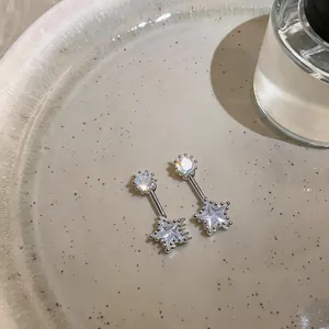 Macro view of star-shaped zircon pendant stud earrings with a sparkling silver finish.