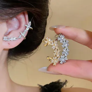 Vue détaillée de bagues d'oreille en zircon et boucles d'oreilles clips en or et argent.