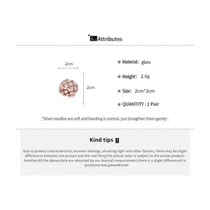 Specifiche dettagliate su dimensioni e peso per orecchini in perline di vetro, 2cm x 2cm.