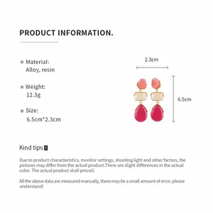 Spécifications détaillées de taille et de matériau des boucles d'oreilles rétro en résine