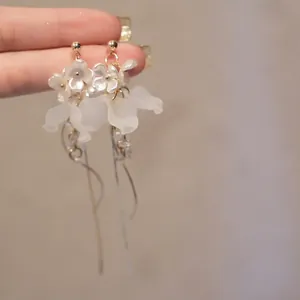 Gros plan de boucles d'oreilles fleurs élégantes avec glands et finition dorée.
