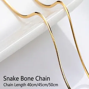 Close-up detail showing the fine texture of a gold-plated snake bone chain necklace.