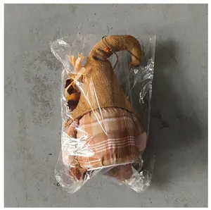 Detailed view of the harvest season gnome doll in protective clear plastic packaging.