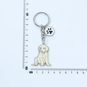 Golden Retriever Metall Schlüsselanhänger mit Pfotenanhänger neben einem Lineal