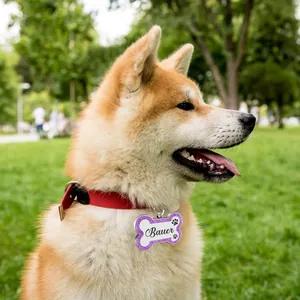 Close-up of a bone-shaped purple glitter pet ID tag with custom name on a dog
