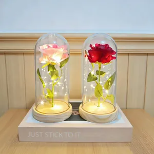 Close-up of pink and red artificial roses in glass domes with warm LED lights.