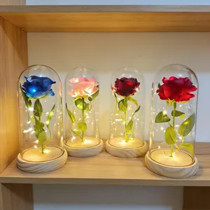 Collection of glowing LED preserved roses in glass domes displayed on a wooden shelf decor