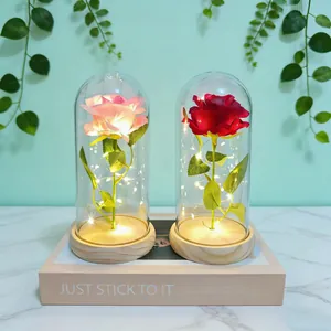 Detailed close-up of artificial roses in glass domes with warm glowing LED lights