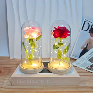 Detailed view of red and pink roses in glass domes with warm LED lights.