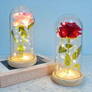 Eternal rose in glass dome with LED string lights for Valentine's Day gift