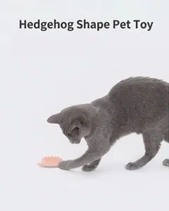 Graue Katze spielt mit einem rosa silikon Haustierspielzeug in Igelform auf weiß