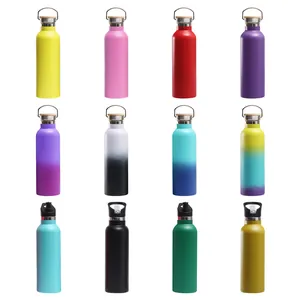 Set of vacuum insulated stainless steel water bottles in diverse colors and handle styles