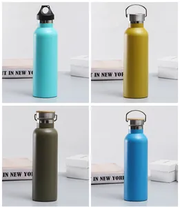 Four color variants of vacuum insulated stainless steel sports water bottles with portable handles