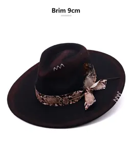 Detailed view of western fedora hat featuring snakeskin band and feather accent