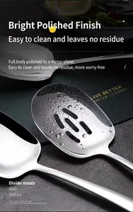 Detailed close-up of mirror-polished stainless steel slotted and solid serving spoons.