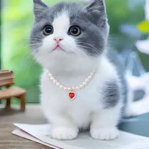 Elegant pearl pet necklace with a red heart pendant worn by a cute grey and white kitten