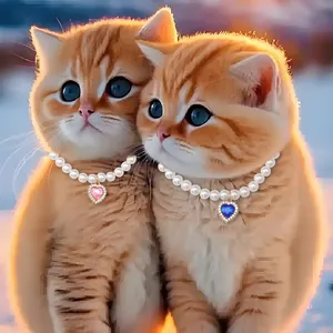 Elegant pet pearl necklace with heart crystal pendant for cats and small dogs jewelry