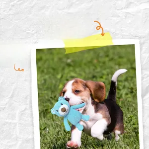 Detailed view of a squeaky plush dog toy made of textured pineapple velvet fabric